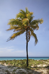 Straits of Florida in Varadero. Cuba