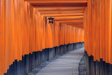 Fushimi Inari Shrine Tori Gates of Kyoto