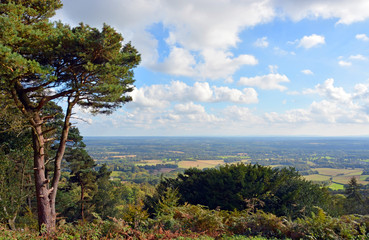 Fototapeta na wymiar View from Leith Hill across the South Downs to Brighton, UK.