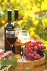 Fototapeta premium Tasty wine on wooden barrel on grape plantation background