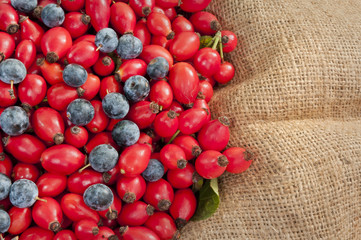 dog rose hips&black thorn berries on jute - DSC1623