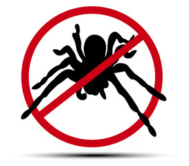 No spider sign