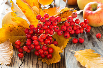 Fall still life with whitethorn and apples