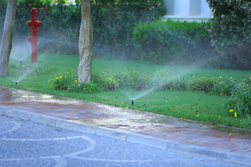 Automatic sprinklers watering grass