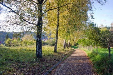 Herbst: Stimmungsvoller Weg :)