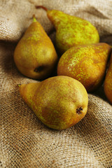 Ripe pears on sackcloth background