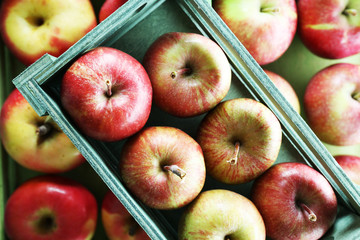Juicy apples in boxes, close-up