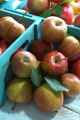 Juicy apples in box, close-up