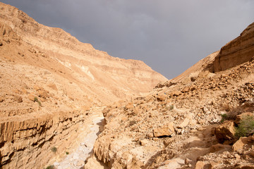 Fototapeta na wymiar Hiking in stone desert middle east adventure