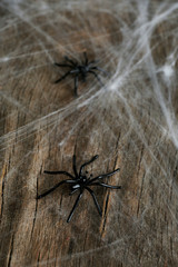 Cobweb with spiders on wooden background