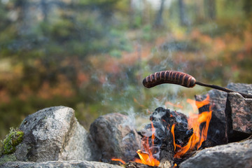 Camping in the wild - Grilled sausage above the campfire