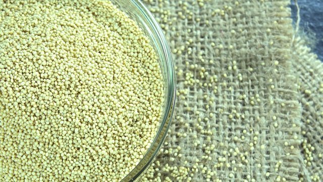 Amaranth (seamless loopable)