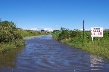 道路の冠水