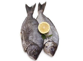 Isolated fresh bream