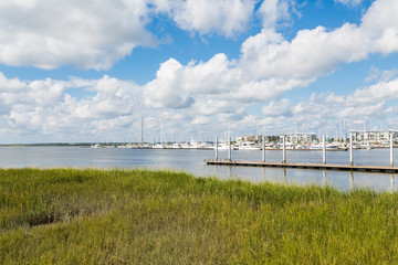 Yachts and Pier Past Green Wetland Marsh