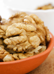Close up of walnut core