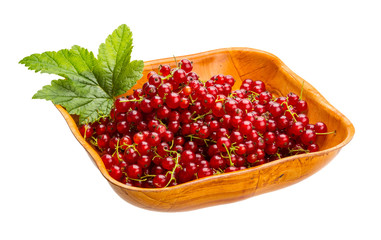 Red currant