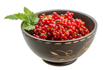 Red currant