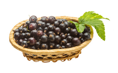 Black currant