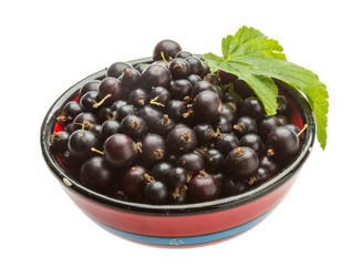 Black currant