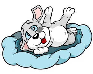 Puppy Dog Lying In Bed