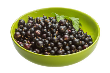 Black currant