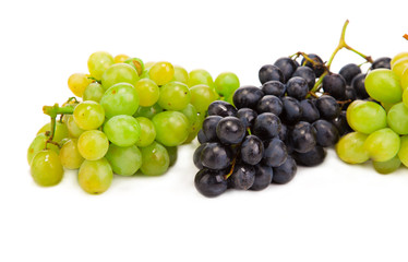 Black and green ripe grapes.