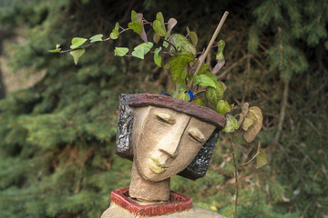 the flower pot in the form of the feminine head