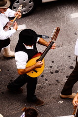 Typical Romeria Fiesta Party