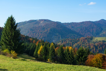 Fototapeta na wymiar Autumn landscape