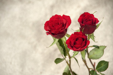 Obraz premium Three roses on a sandy background