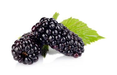 Studio shot of two fresh blackberries with leaves isolated white