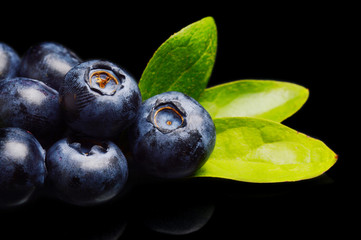 Macro closeup view blueberries leaves isolated black