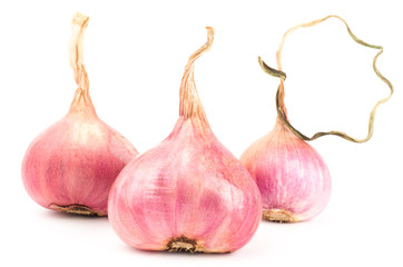 Obraz premium Fresh shallot