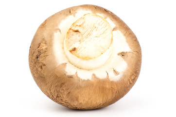 Fresh champignon mushroom