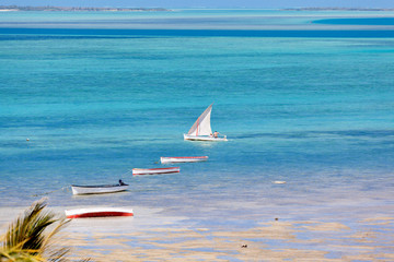 barques rodriguaises