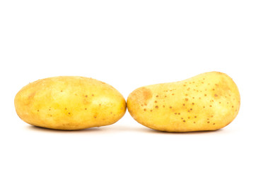 Potato