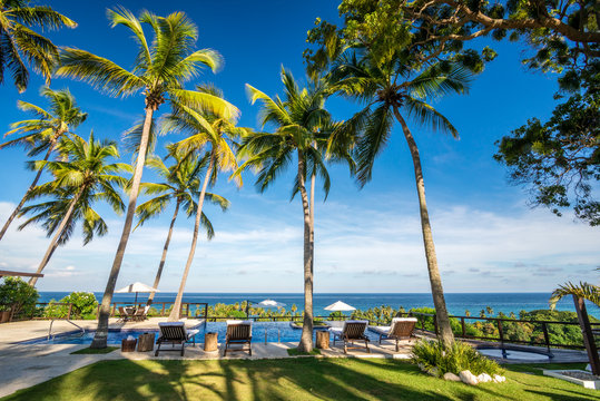 Deckchair lounger with palm trees and infinity pool in Barahona