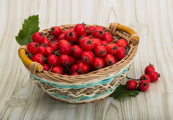 Hawthorn