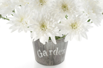 Bouquet of fresh white chrysanthemum in a wooden pot