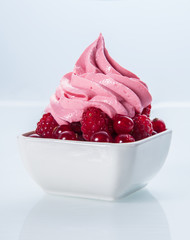 Close up Flavored Frozen Yogurt on Berries