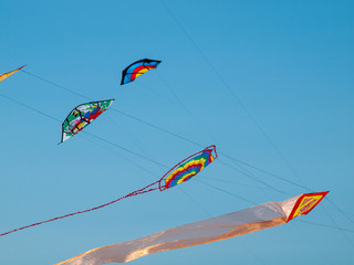 Colorful Kites Flying in Cloudless Blue Sky