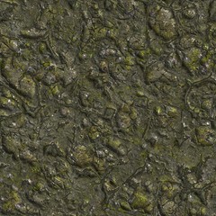 Wizened Swamp Soil with Small Stones.