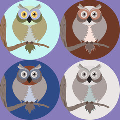 4 picture Wise owls sitting lonely on the tree