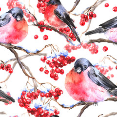 Watercolor seamless background with bullfinches