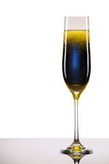 luxury glass of champagne