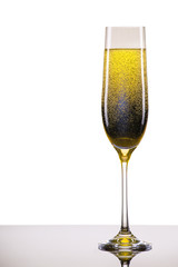luxury glass of champagne
