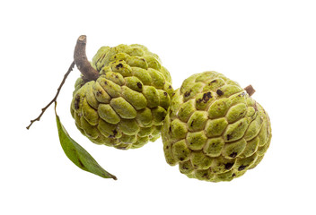 Fototapeta premium Noni fruit