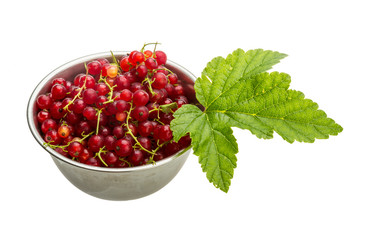 Red currant