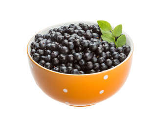 Blueberry